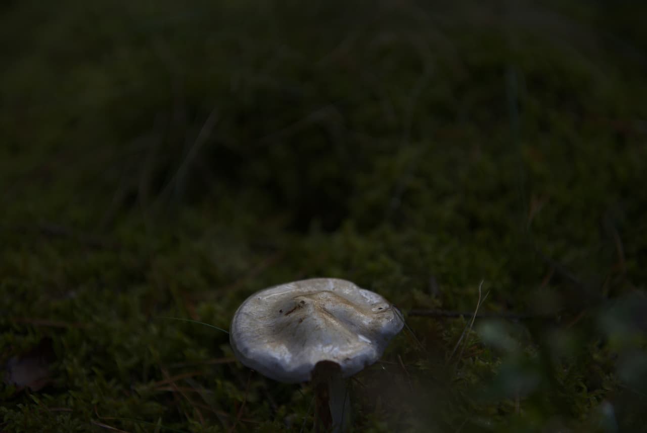 DSC_4655